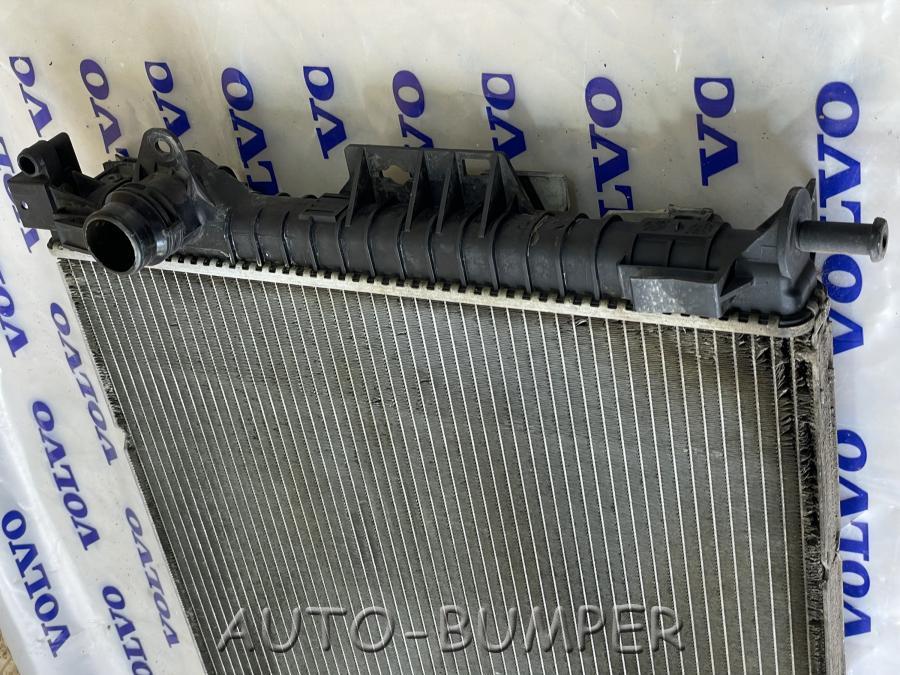 Ford / Volvo Радиатор охлаждения двигателя 36002414